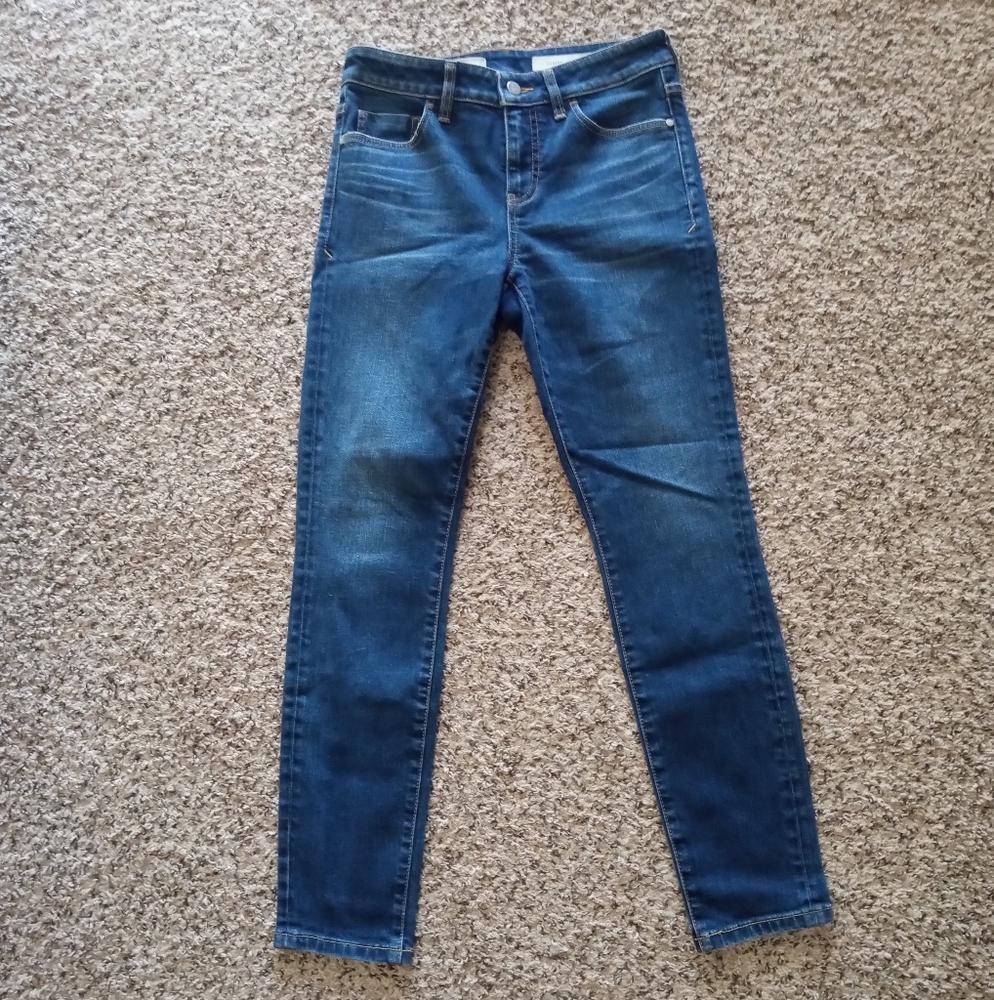 Anthropologie Pilcro Women's Script High-Rise Skinny Jean Cotton Blue Size 28 - Picture 2 of 8